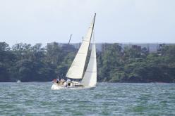 Galeria de Fotos - FOTOS - Campeonato Estadual de Vela 2024 - CLASSE OCEANO
