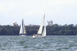 Galeria de Fotos - FOTOS - Campeonato Estadual de Vela 2024 - CLASSE OCEANO