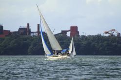Galeria de Fotos - FOTOS - Campeonato Estadual de Vela 2024 - CLASSE OCEANO