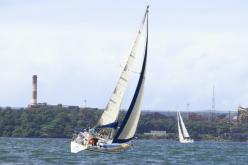 Galeria de Fotos - FOTOS - Campeonato Estadual de Vela 2024 - CLASSE OCEANO