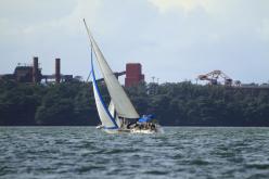 Galeria de Fotos - FOTOS - Campeonato Estadual de Vela 2024 - CLASSE OCEANO