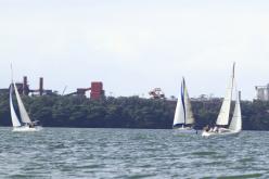 Galeria de Fotos - FOTOS - Campeonato Estadual de Vela 2024 - CLASSE OCEANO