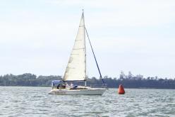 Galeria de Fotos - FOTOS - Campeonato Estadual de Vela 2024 - CLASSE OCEANO