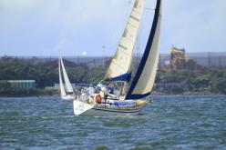 Galeria de Fotos - FOTOS - Campeonato Estadual de Vela 2024 - CLASSE OCEANO