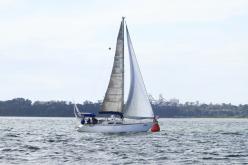 Galeria de Fotos - FOTOS - Campeonato Estadual de Vela 2024 - CLASSE OCEANO