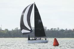 Galeria de Fotos - FOTOS - Campeonato Estadual de Vela 2024 - CLASSE OCEANO