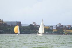 Galeria de Fotos - FOTOS - Campeonato Estadual de Vela 2024 - CLASSE OCEANO
