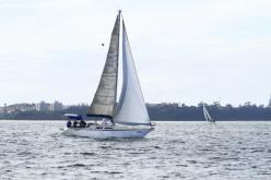 Galeria de Fotos - FOTOS - Campeonato Estadual de Vela 2024 - CLASSE OCEANO