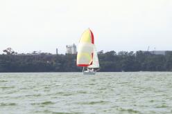 Galeria de Fotos - FOTOS - Campeonato Estadual de Vela 2024 - CLASSE OCEANO