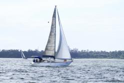Galeria de Fotos - FOTOS - Campeonato Estadual de Vela 2024 - CLASSE OCEANO