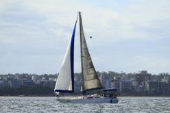 Galeria de Fotos - FOTOS - Campeonato Estadual de Vela 2024 - CLASSE OCEANO