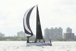 Galeria de Fotos - FOTOS - Campeonato Estadual de Vela 2024 - CLASSE OCEANO