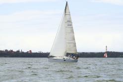 Galeria de Fotos - FOTOS - Campeonato Estadual de Vela 2024 - CLASSE OCEANO