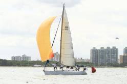 Galeria de Fotos - FOTOS - Campeonato Estadual de Vela 2024 - CLASSE OCEANO