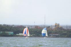 Galeria de Fotos - FOTOS - Campeonato Estadual de Vela 2024 - CLASSE OCEANO
