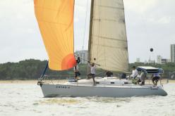 Galeria de Fotos - FOTOS - Campeonato Estadual de Vela 2024 - CLASSE OCEANO