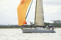 Galeria de Fotos - FOTOS - Campeonato Estadual de Vela 2024 - CLASSE OCEANO