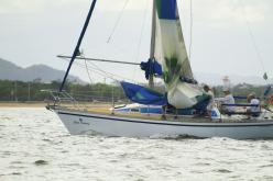Galeria de Fotos - FOTOS - Campeonato Estadual de Vela 2024 - CLASSE OCEANO