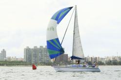 Galeria de Fotos - FOTOS - Campeonato Estadual de Vela 2024 - CLASSE OCEANO