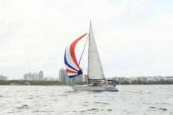Galeria de Fotos - FOTOS - Campeonato Estadual de Vela 2024 - CLASSE OCEANO