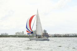 Galeria de Fotos - FOTOS - Campeonato Estadual de Vela 2024 - CLASSE OCEANO