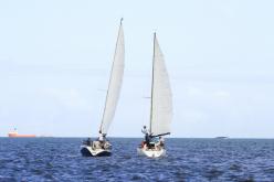 Galeria de Fotos - FOTOS - Campeonato Estadual de Vela 2024 - CLASSE OCEANO