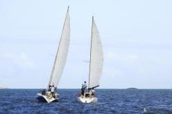 Galeria de Fotos - FOTOS - Campeonato Estadual de Vela 2024 - CLASSE OCEANO