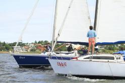 Galeria de Fotos - FOTOS - Campeonato Estadual de Vela 2024 - CLASSE OCEANO