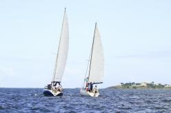 Galeria de Fotos - FOTOS - Campeonato Estadual de Vela 2024 - CLASSE OCEANO