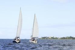 Galeria de Fotos - FOTOS - Campeonato Estadual de Vela 2024 - CLASSE OCEANO