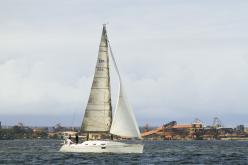 Galeria de Fotos - FOTOS - Campeonato Estadual de Vela 2024 - CLASSE OCEANO