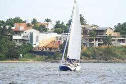Galeria de Fotos - FOTOS - Campeonato Estadual de Vela 2024 - CLASSE OCEANO