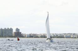 Galeria de Fotos - FOTOS - Campeonato Estadual de Vela 2024 - CLASSE OCEANO