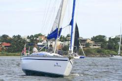 Galeria de Fotos - FOTOS - Campeonato Estadual de Vela 2024 - CLASSE OCEANO
