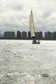 Galeria de Fotos - FOTOS - Campeonato Estadual de Vela 2024 - CLASSE OCEANO
