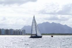Galeria de Fotos - FOTOS - Campeonato Estadual de Vela 2024 - CLASSE OCEANO