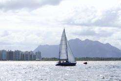 Galeria de Fotos - FOTOS - Campeonato Estadual de Vela 2024 - CLASSE OCEANO