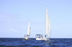 Galeria de Fotos - FOTOS - Campeonato Estadual de Vela 2024 - CLASSE OCEANO
