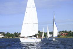 Galeria de Fotos - FOTOS - Campeonato Estadual de Vela 2024 - CLASSE OCEANO