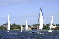 Galeria de Fotos - FOTOS - Campeonato Estadual de Vela 2024 - CLASSE OCEANO