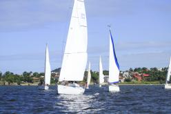 Galeria de Fotos - FOTOS - Campeonato Estadual de Vela 2024 - CLASSE OCEANO