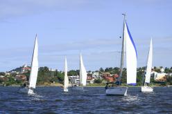 Galeria de Fotos - FOTOS - Campeonato Estadual de Vela 2024 - CLASSE OCEANO