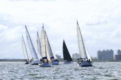 Galeria de Fotos - FOTOS - Campeonato Estadual de Vela 2024 - CLASSE OCEANO
