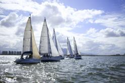 Galeria de Fotos - FOTOS - Campeonato Estadual de Vela 2024 - CLASSE OCEANO