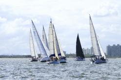 Galeria de Fotos - FOTOS - Campeonato Estadual de Vela 2024 - CLASSE OCEANO