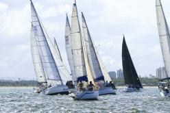 Galeria de Fotos - FOTOS - Campeonato Estadual de Vela 2024 - CLASSE OCEANO