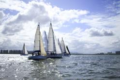 Galeria de Fotos - FOTOS - Campeonato Estadual de Vela 2024 - CLASSE OCEANO