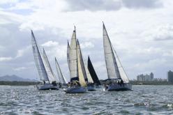 Galeria de Fotos - FOTOS - Campeonato Estadual de Vela 2024 - CLASSE OCEANO