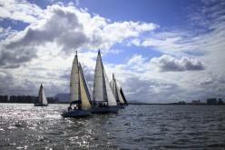 Galeria de Fotos - FOTOS - Campeonato Estadual de Vela 2024 - CLASSE OCEANO