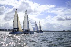 Galeria de Fotos - FOTOS - Campeonato Estadual de Vela 2024 - CLASSE OCEANO